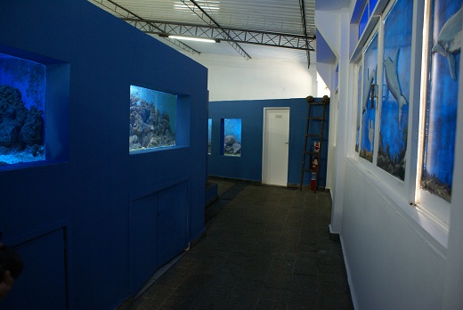 Museu Oceanográfico do Instituto de Estudos do Mar Paulo Moreira
