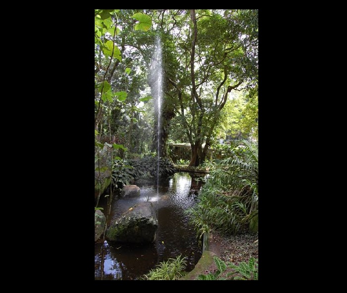 Sítio Roberto Burle Marx